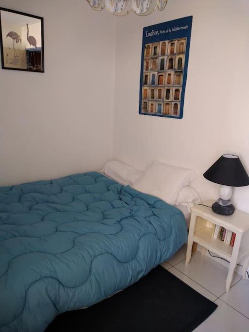 Appartement Vue Sur Canal Proximite Mer Сет Экстерьер фото